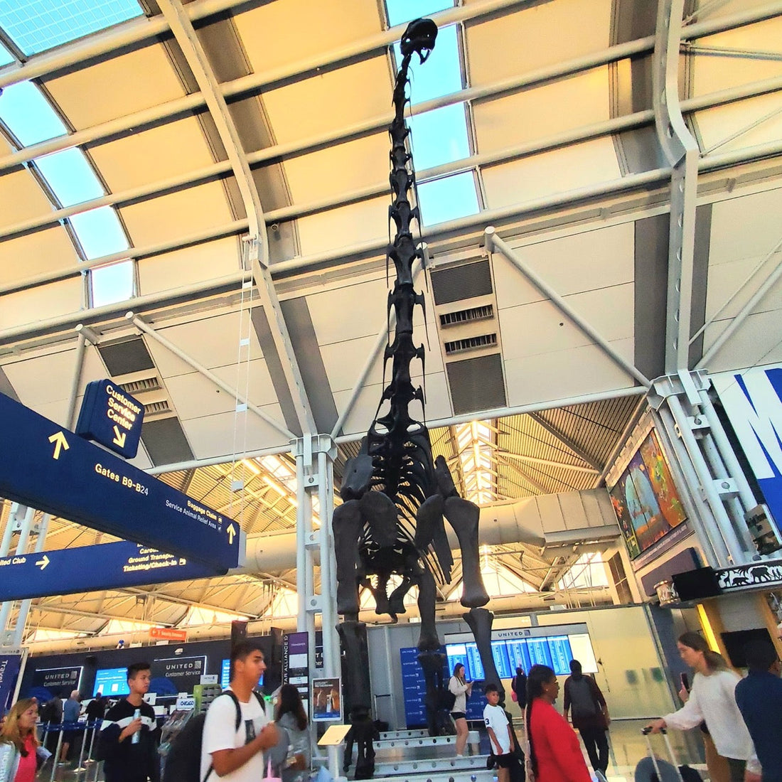 THE NATIONAL NOTEBOOK: Wednesday, 07/26/23